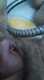 Private Photo of porcella-